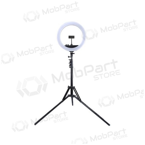 LED žiedinė λάμπα 34.5cm, su trikoju stovu iki 1.85m, veidrodžiu και telefono laikikliu, USB