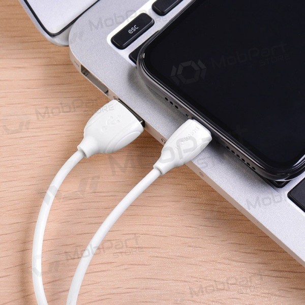 Καλώδιο Lightning Borofone BX19 USB-A σε Lightning 1 m λευκό
